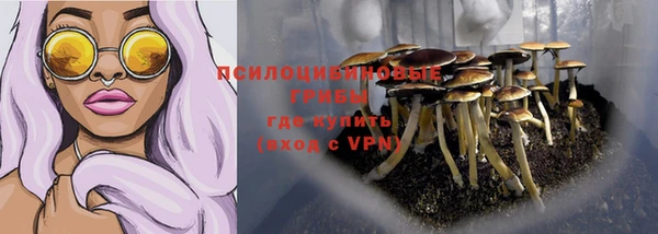 шишки Балабаново