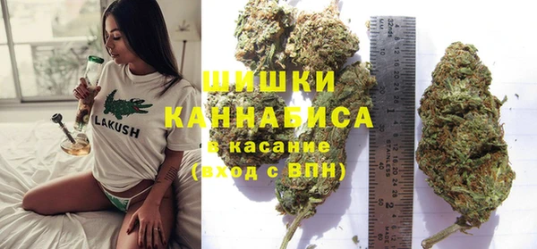 шишки Балабаново