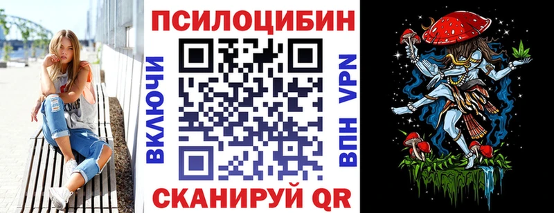Псилоцибиновые грибы Psilocybe  Берёзовский 